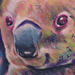 Tattoos - color koala - 22611
